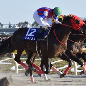 フェブラリーステークス2020予想