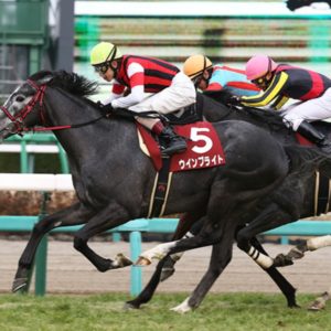 中山記念2020予想