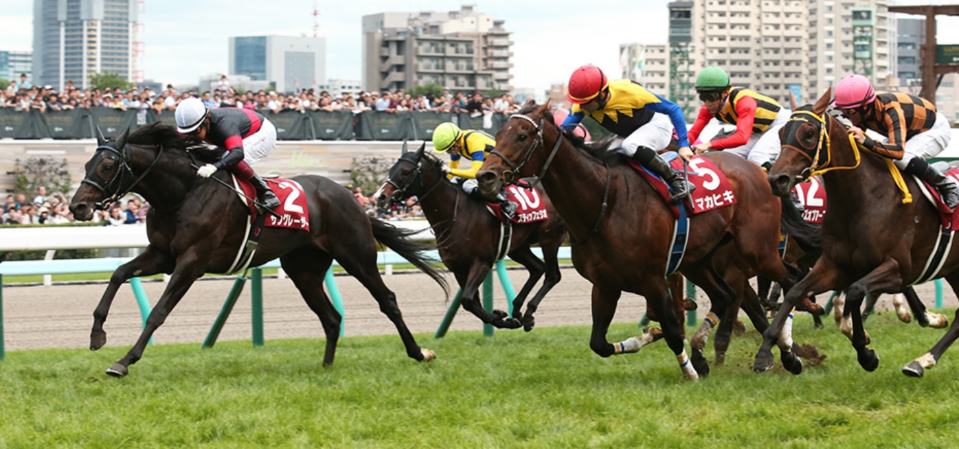 安田記念 予想オッズと穴馬情報 3連単6点勝負 3連単6点勝負 競馬で夢を叶える 3連単競馬予想に役立つ情報が満載です