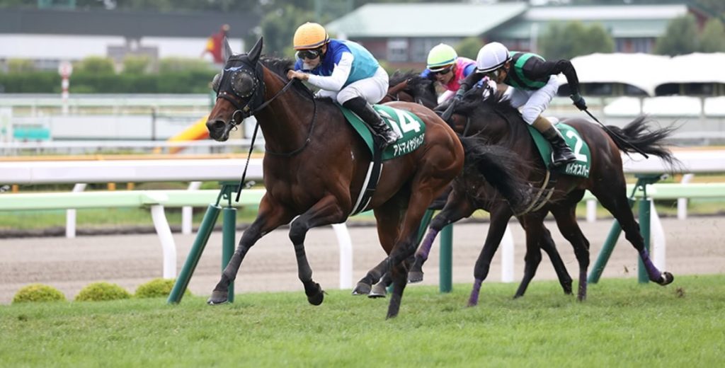 函館記念21予想 本命馬情報 穴馬情報 コース解説とコース適性情報 血統情報 函館記念過去10年データ分析と傾向 3連単 3連単6点勝負 競馬で夢を叶える 3連単競馬予想に役立つ情報が満載です