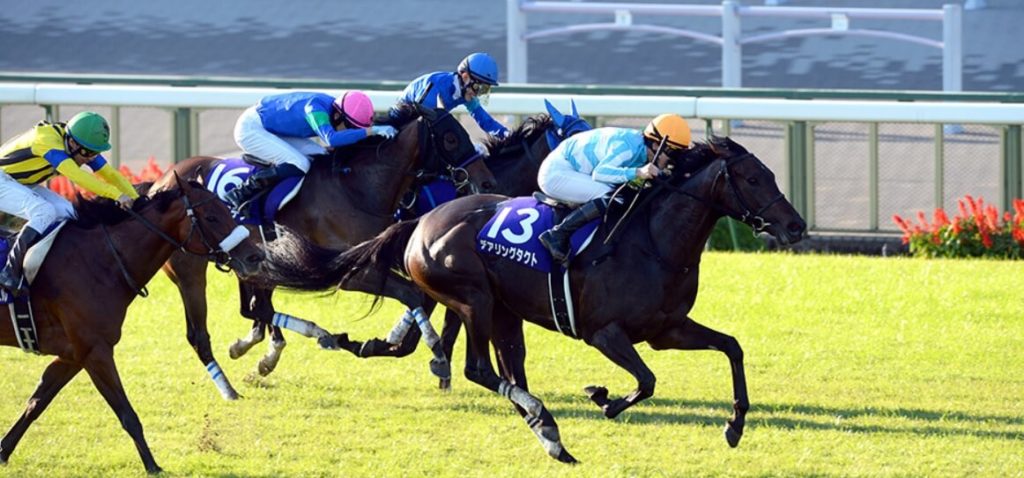 秋華賞2021予想 本命馬情報 穴馬情報 コース解説とコース適性情報 血統情報 秋華賞過去10年データ分析と傾向 3連単 3連単6点勝負 競馬で夢を叶える 3連単競馬予想に役立つ情報が満載です