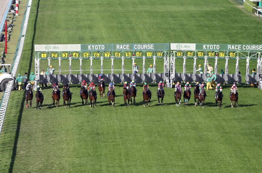 菊花賞 ブラジルカップ 鳥屋野特別21予想 今週の無料競馬予想 3連単6点勝負 3連単6点勝負 競馬で夢を叶える 3連単競馬予想に役立つ情報が満載です
