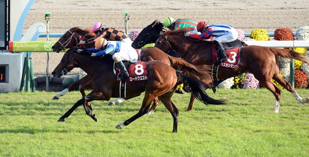 スワンステークス