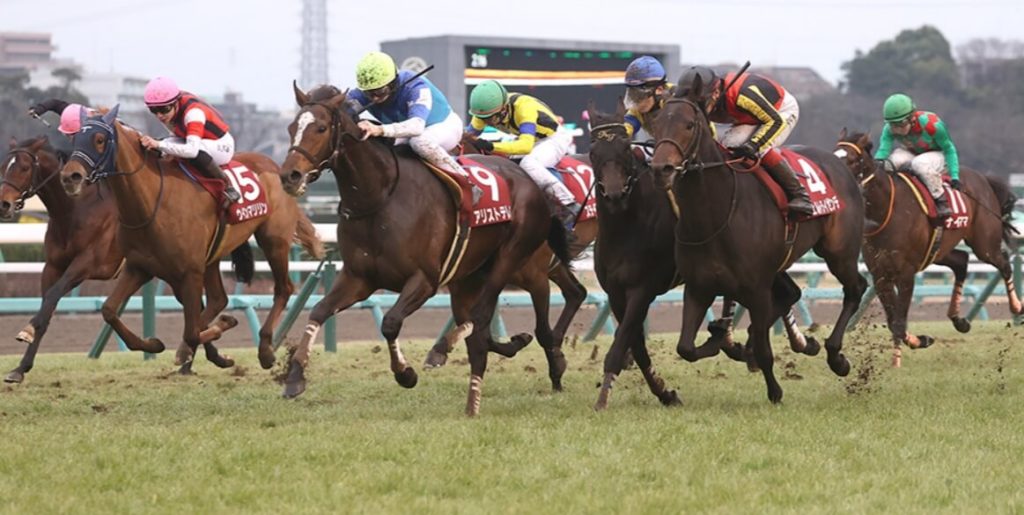 アメリカジョッキークラブカップ Ajcc 22予想 本命馬5選と穴馬5選 コース解説と適性 過去データ分析とアメリカジョッキークラブカップ Ajcc 傾向 3連単 3連単6点勝負 競馬で夢を叶える 3連単競馬予想に役立つ情報が満載です