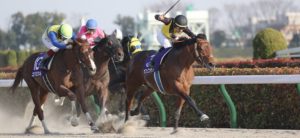 フェブラリーステークス