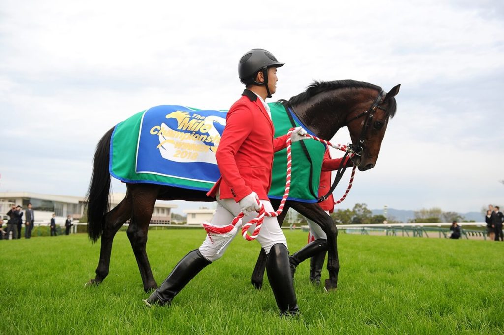 マイルチャンピオンシップ