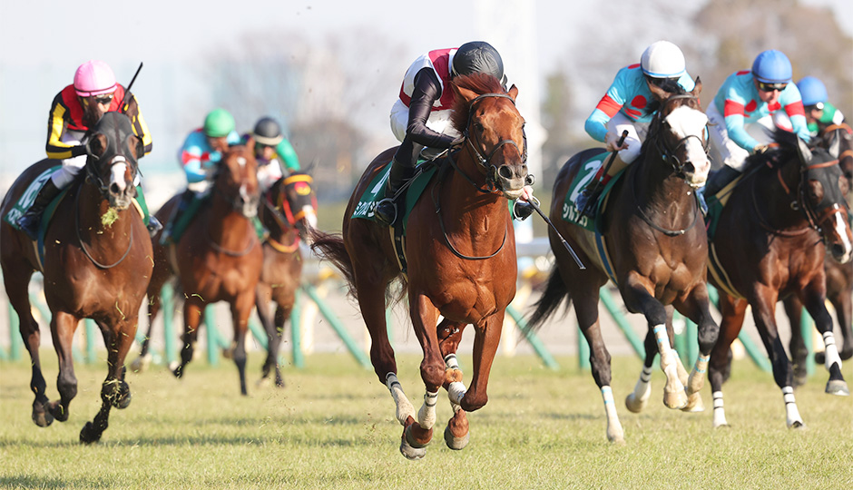 ダイヤモンドステークス