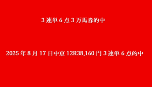 2025年8月17日中京12R38,160円3連単6点的中 -
