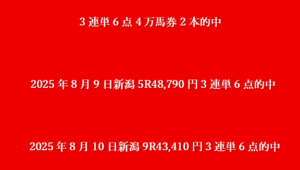 万馬券2本2025年8月10日新潟9R43,410円3連単6点的中