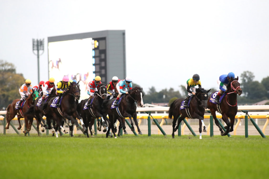 ジャパンカップ