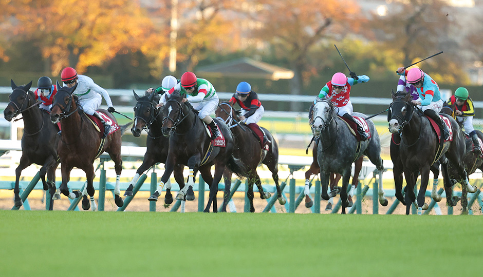 ステイヤーズステークス