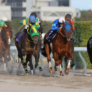 チャンピオンズカップ