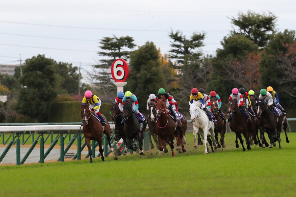 マイルチャンピオンシップ