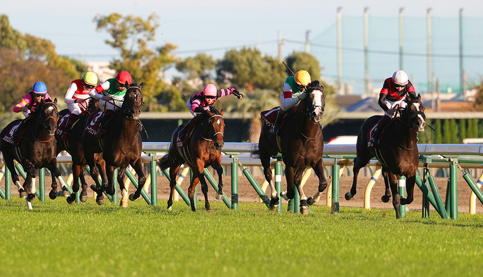 東京スポーツ杯2歳ステークス