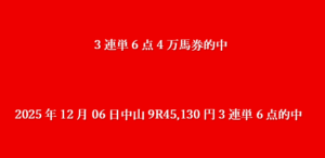 2025年12月06日中山9R45,130円3連単6点的中