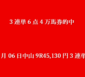 2025年12月06日中山9R45,130円3連単6点的中
