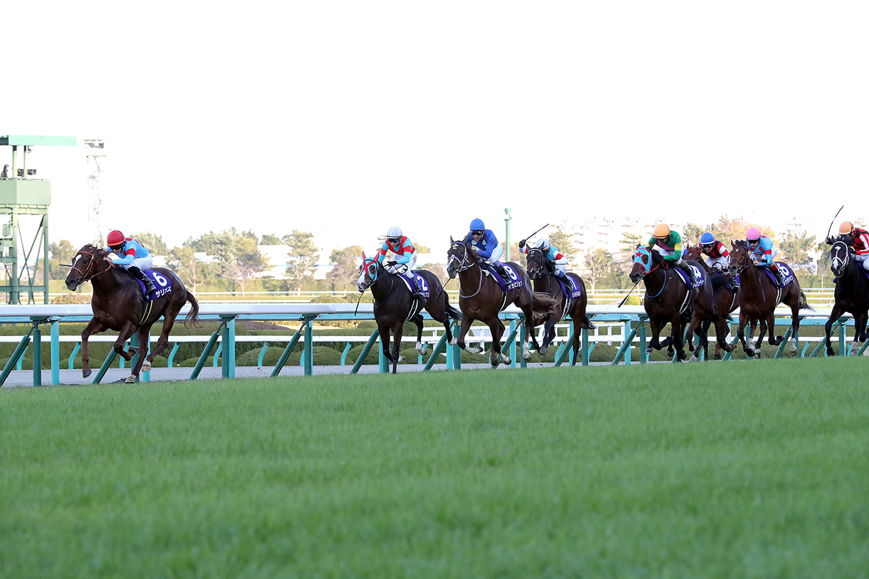 朝日杯フューチュリティステークス