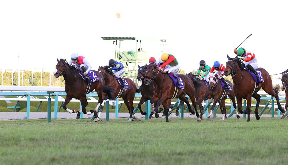 朝日杯フューチュリティステークス