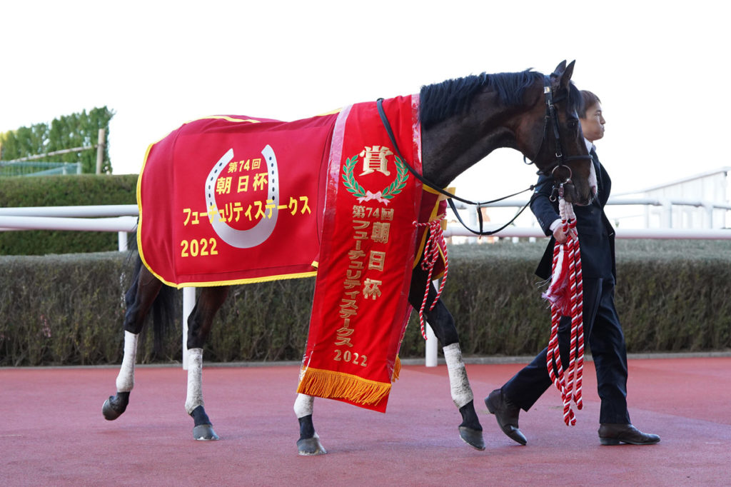 【朝日杯フューチュリティステークス2025予想】本命馬情報・穴馬情報・追い切り調教情報・コース解説情報・血統情報・過去10年データー分と傾向情報|3連単