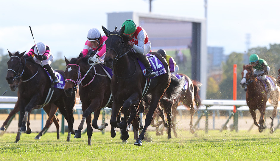 阪神ジュベナイルフィリーズ