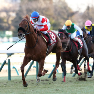 アメリカジョッキークラブカップ