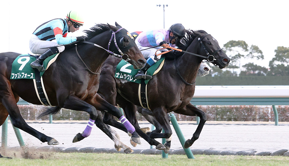 シルクロードステークス