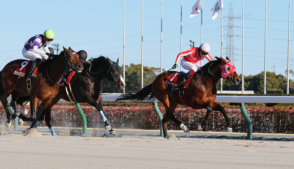 プロキオンステークス