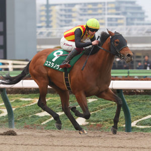 根岸ステークス