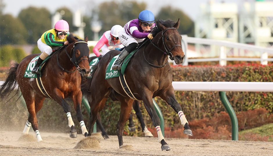 根岸ステークス