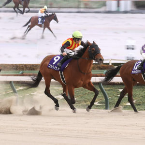 フェブラリーステークス