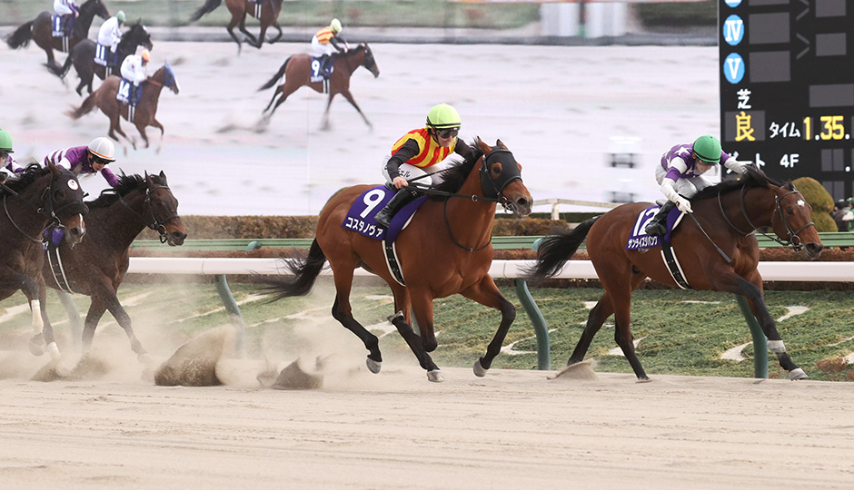 フェブラリーステークス