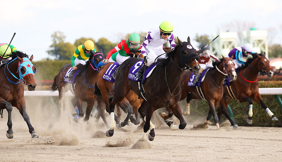 フェブラリーステークス