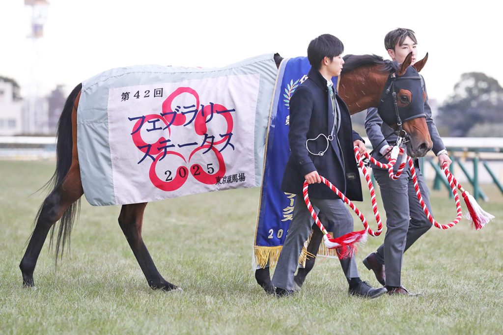 フェブラリーステークス