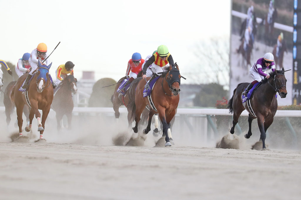 フェブラリーステークス