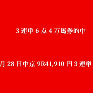 2026年3月28日中京9R41,910円3連単6点的中