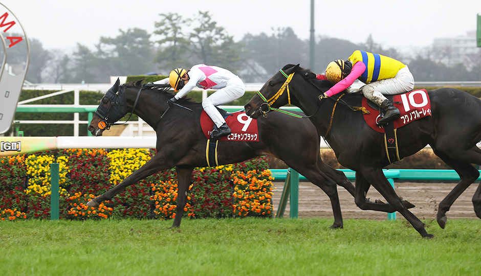 スプリングステークス