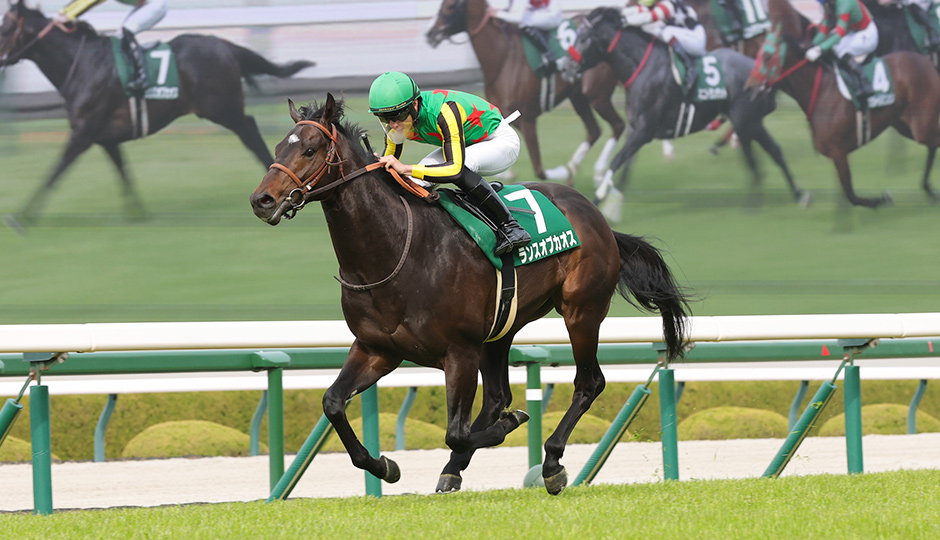 チャーチルダウンズカップ