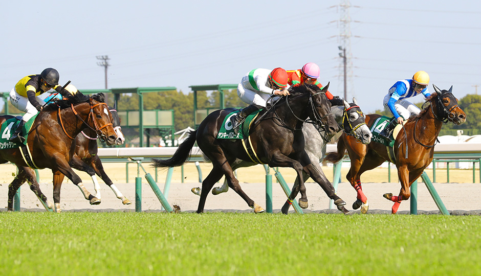 ファルコンステークス