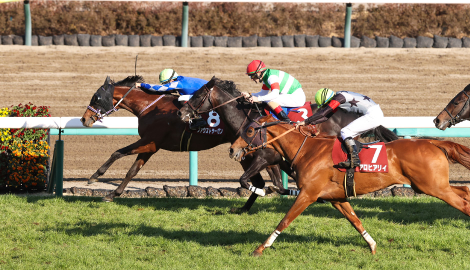 弥生賞ディープインパクト