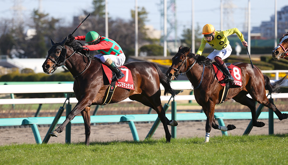 弥生賞ディープインパクト