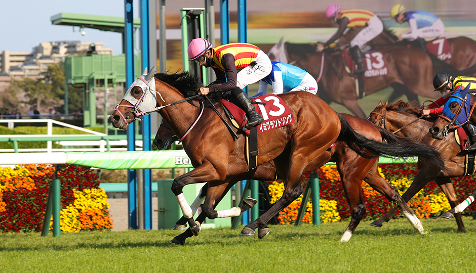 ニュージーランドトロフィー